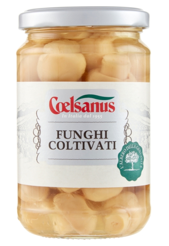 Funghi Coltivati